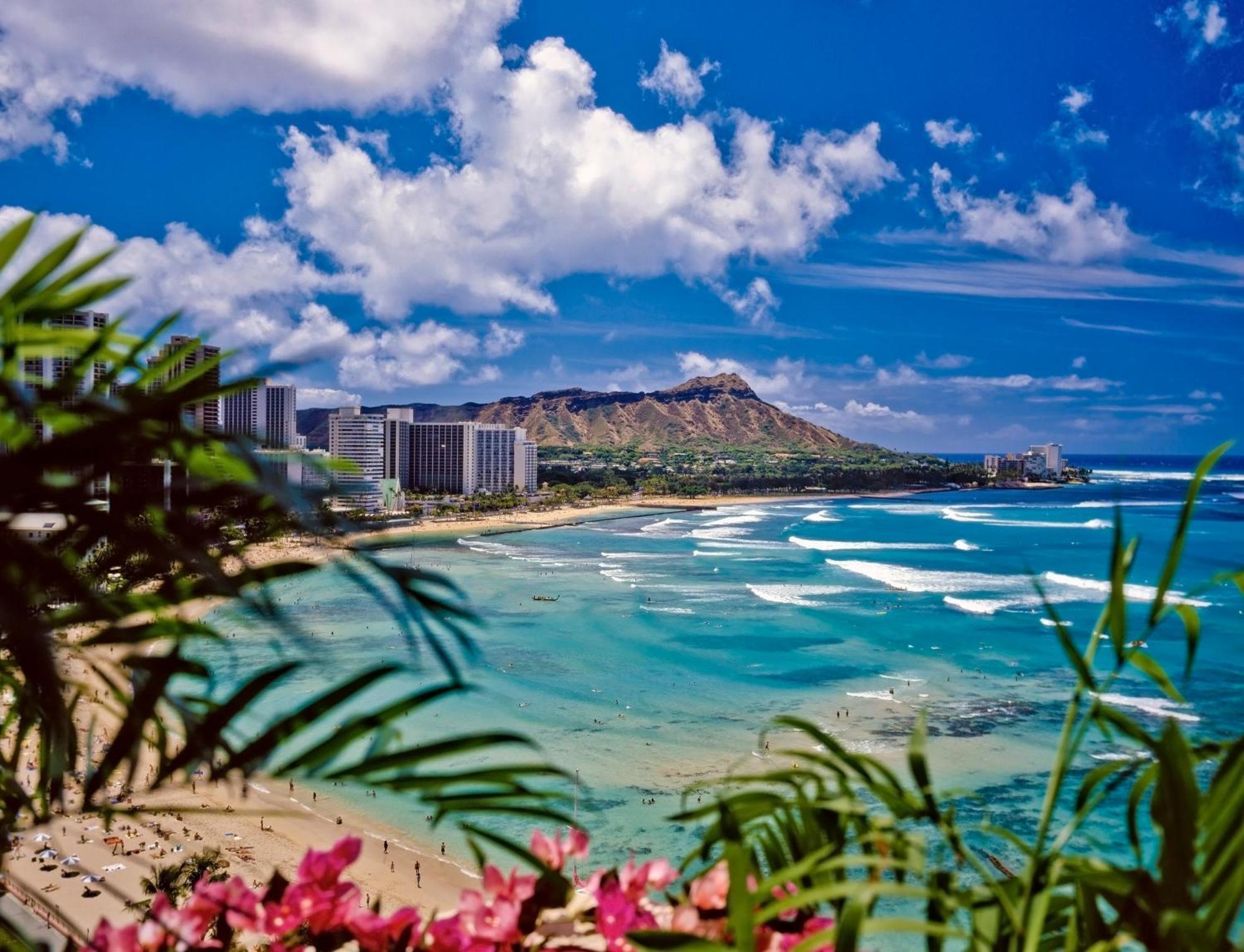 Great Ocean View Condo, Near Beach With Free Parking! Гонолулу Экстерьер фото